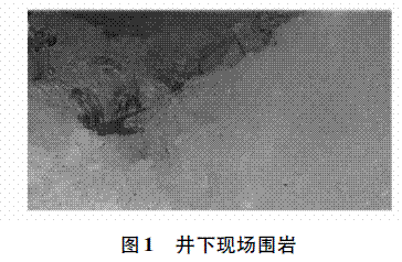 液压滑模台车在软岩井筒快速施工中的应用
